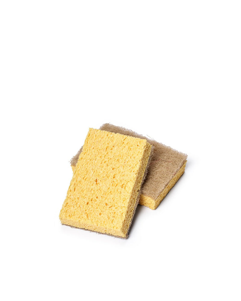 Häxan Kitchen Sponge 2-pack